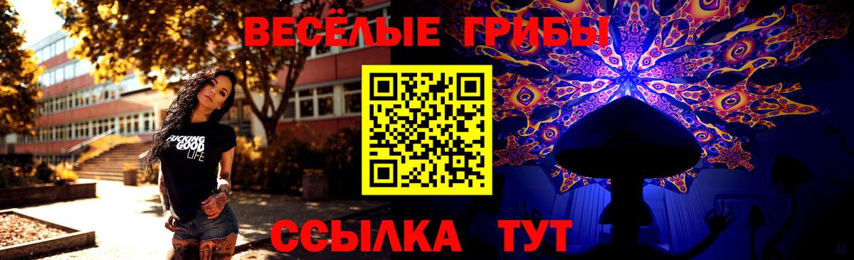 Псилоцибиновые грибы MAGIC MUSHROOMS Междуреченск